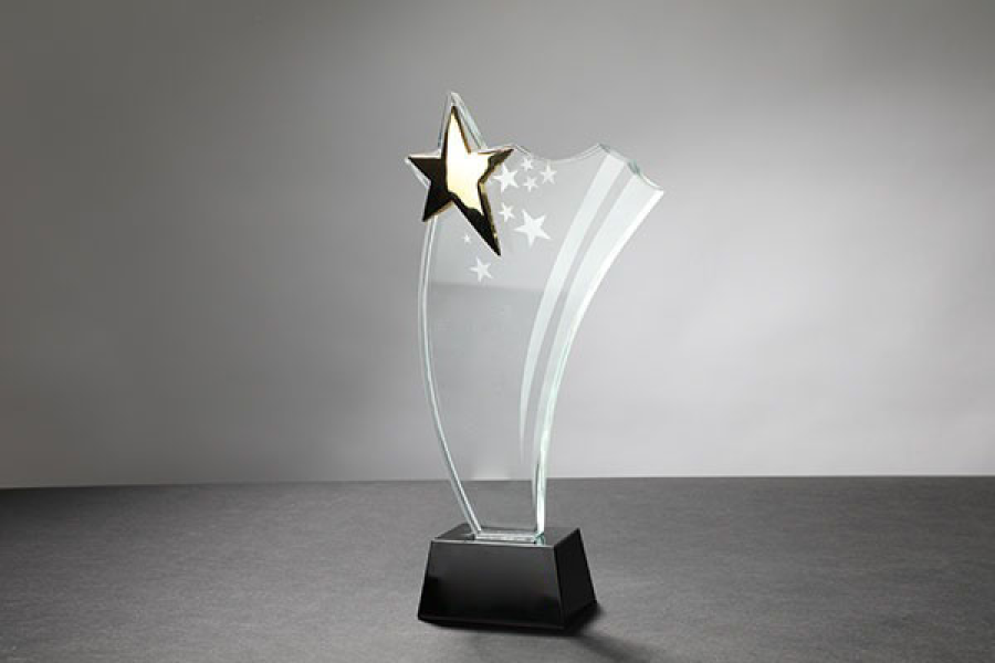 凤凰山公墓荣誉资质二